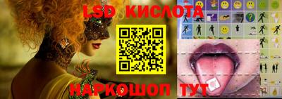 прущие грибы Гусев