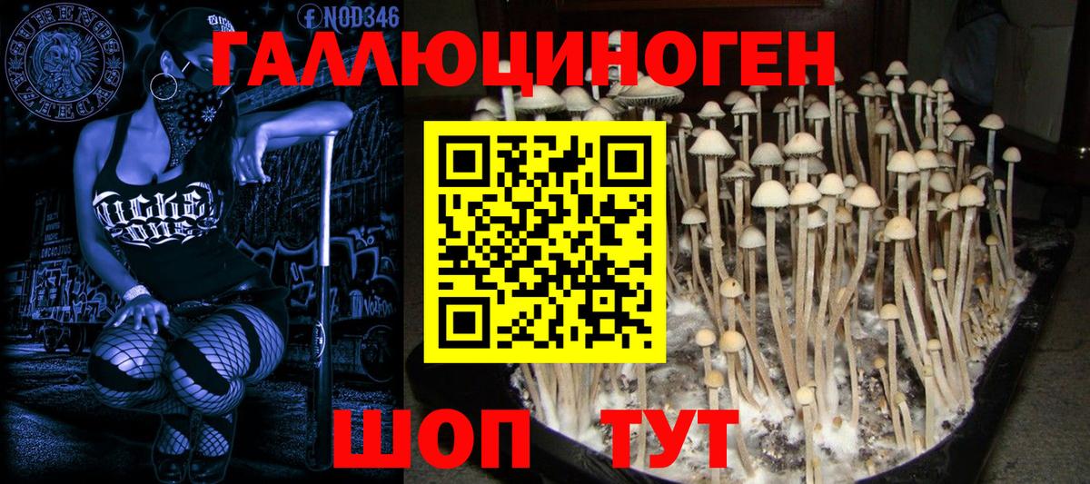 Галлюциногенные грибы GOLDEN TEACHER Можга