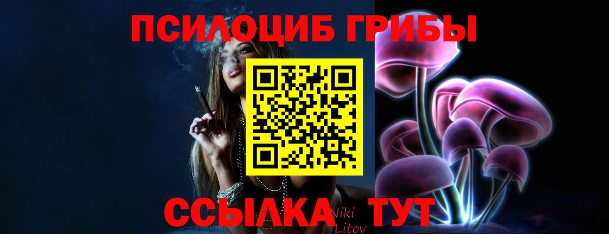 Псилоцибиновые грибы Cubensis  Вход с VPN  Можга 